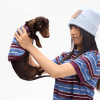狗狗衣服条纹亲子款