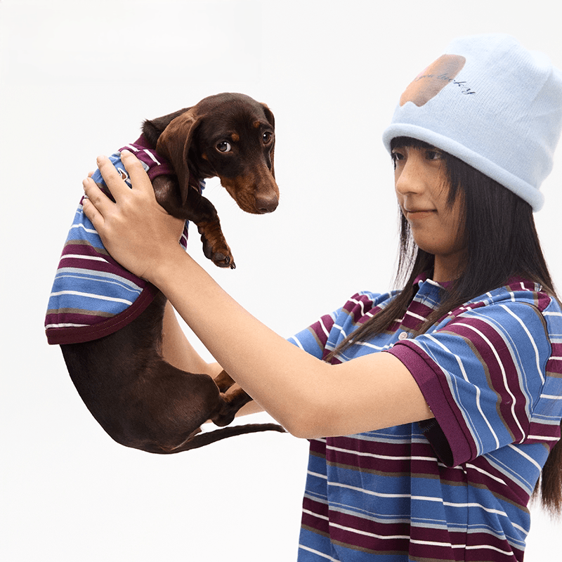 狗狗衣服条纹亲子款