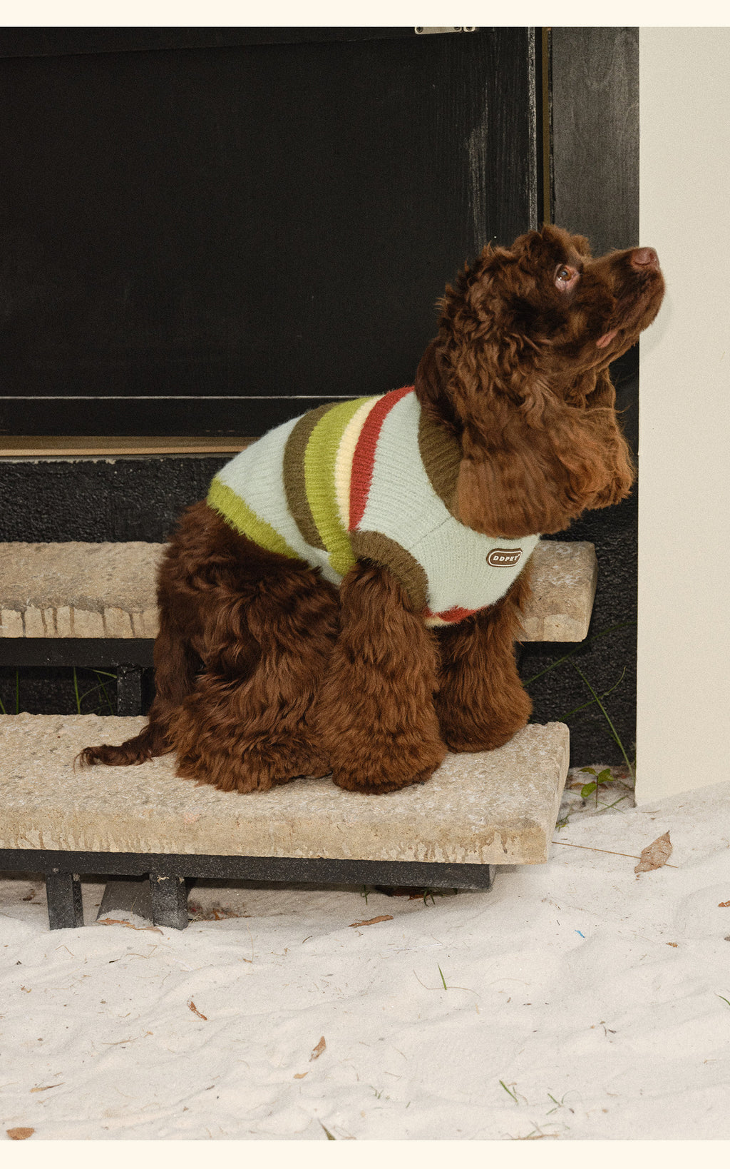 novo-paw knitted sweater