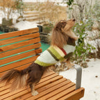 novo-paw knitted sweater