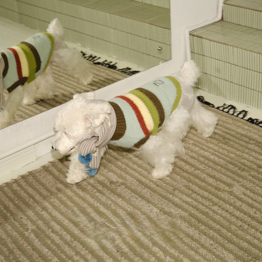 novo-paw knitted sweater