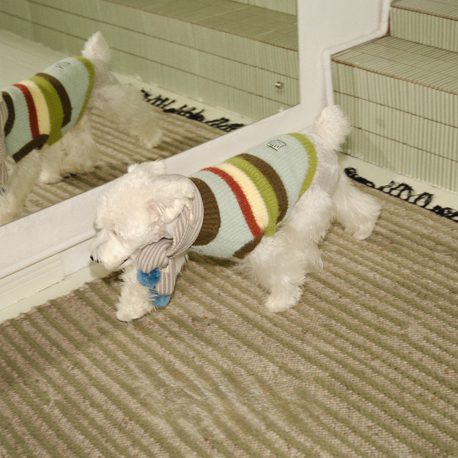 novo-paw knitted sweater