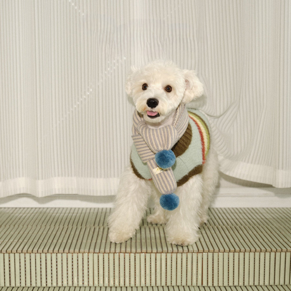 novo-paw knitted sweater
