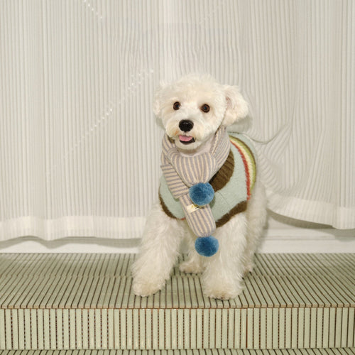 novo-paw knitted sweater
