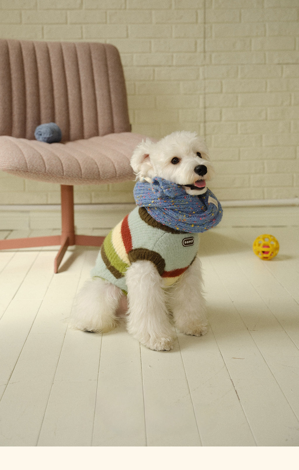 novo-paw knitted sweater