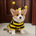 Pet clothes in little bee style for small dogs and cats
