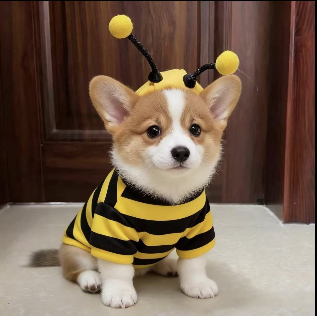 Pet clothes in little bee style for small dogs and cats
