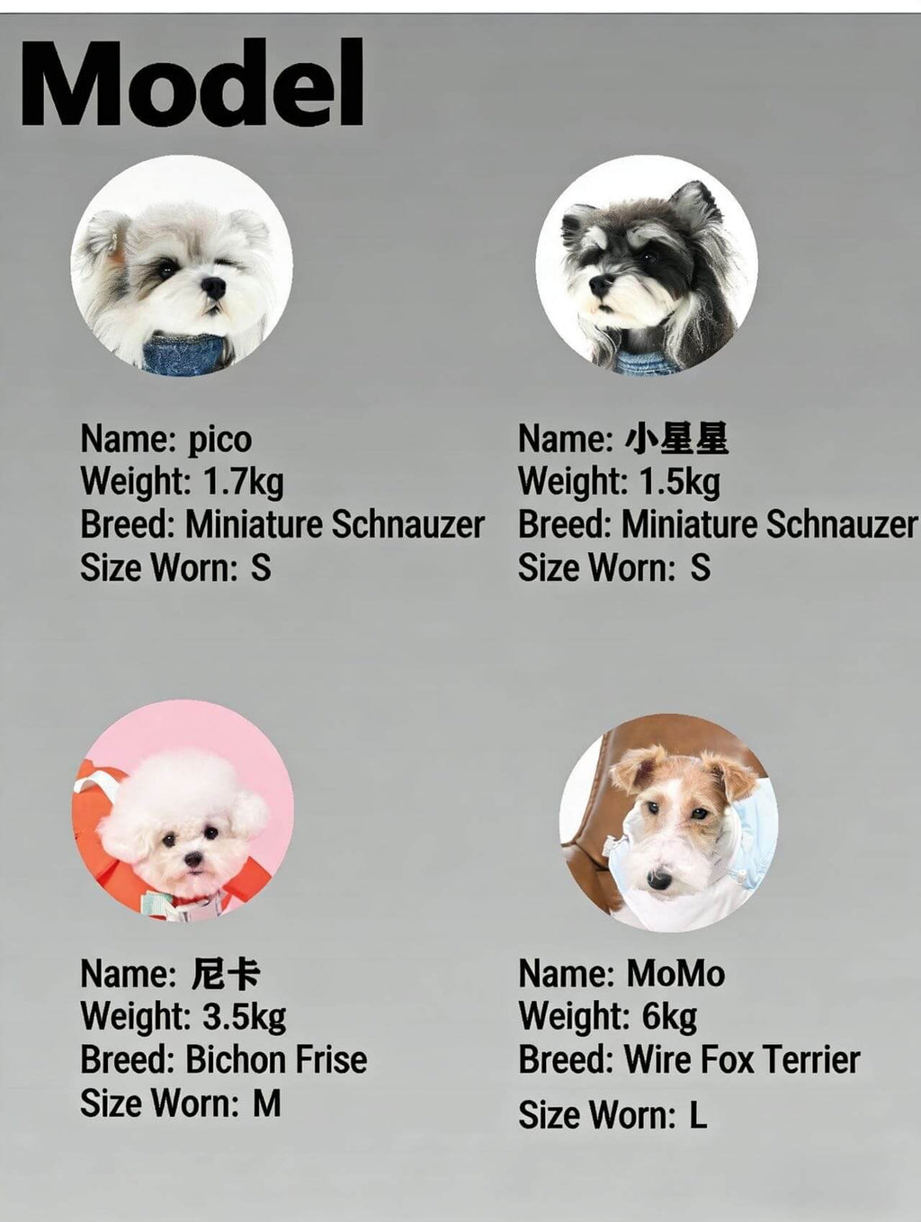 NOVOPAW three-proof nylon windbreaker ski jacket Snower fox hunting terrier pet clothes