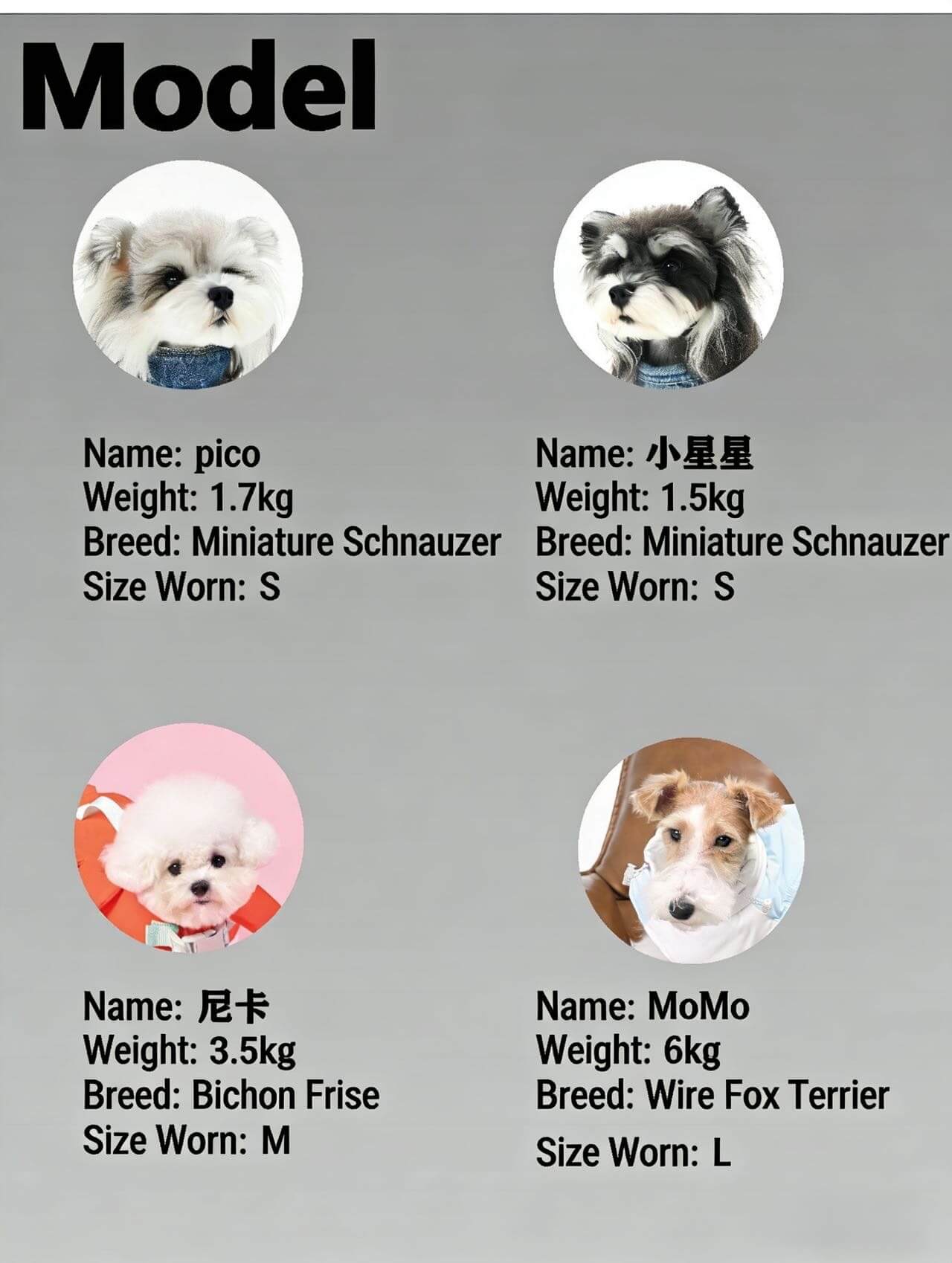 NOVOPAW three-proof nylon windbreaker ski jacket Snower fox hunting terrier pet clothes